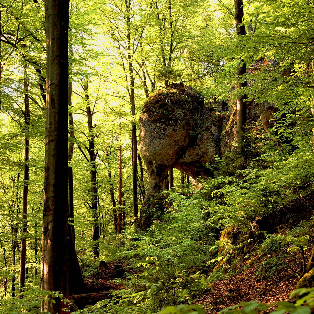 REFUGIUM.BETZENSTEIN | Natururlaub Deutschland, Natur Erleben im Naturpark Fränkische Schweiz, Bio-Hotel Bayern, Luxus-Apartment, Öko-Ferienhaus für Allergiker in Franken, Urlaub in der Natur Deutschland