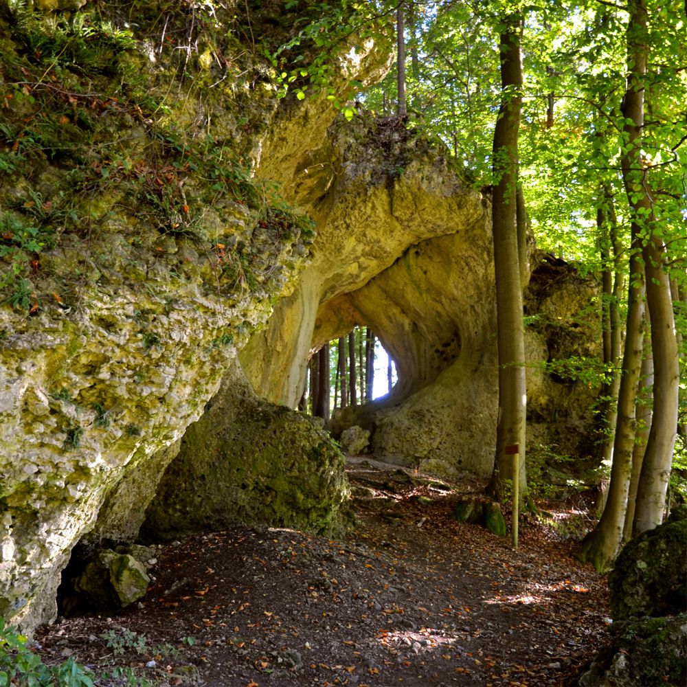 REFUGIUM.BETZENSTEIN | Natururlaub Deutschland, Natur Erleben im Naturpark Fränkische Schweiz, Bio-Hotel Bayern, Luxus-Apartment, Öko-Ferienhaus für Allergiker in Franken, Urlaub in der Natur Deutschland