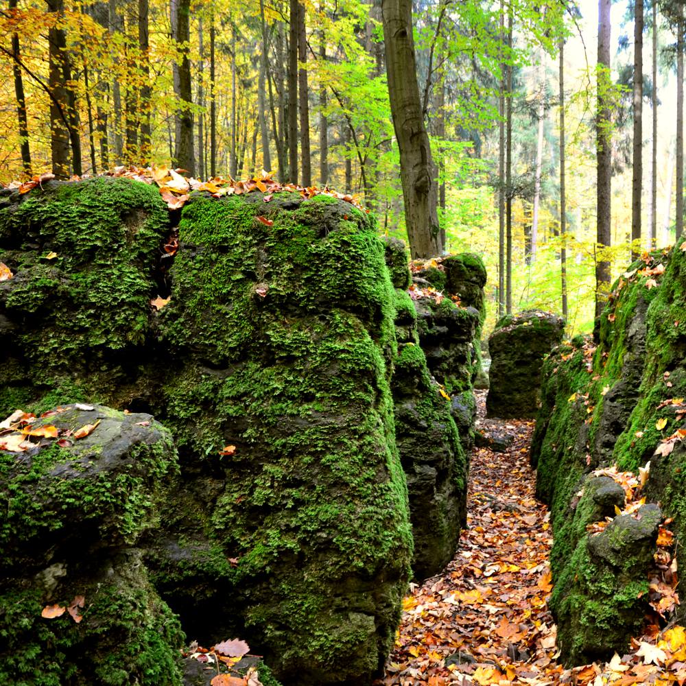 REFUGIUM.BETZENSTEIN | Natururlaub Deutschland, Natur Erleben im Naturpark Fränkische Schweiz, Bio-Hotel Bayern, Luxus-Apartment, Öko-Ferienhaus für Allergiker in Franken, Urlaub in der Natur Deutschland