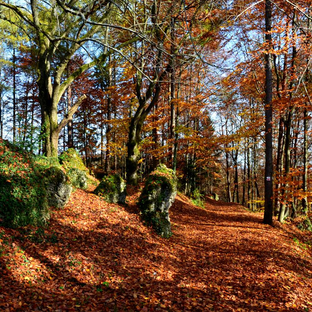 REFUGIUM.BETZENSTEIN | Natururlaub Deutschland, Natur Erleben im Naturpark Fränkische Schweiz, Bio-Hotel Bayern, Luxus-Apartment, Öko-Ferienhaus für Allergiker in Franken, Urlaub in der Natur Deutschland