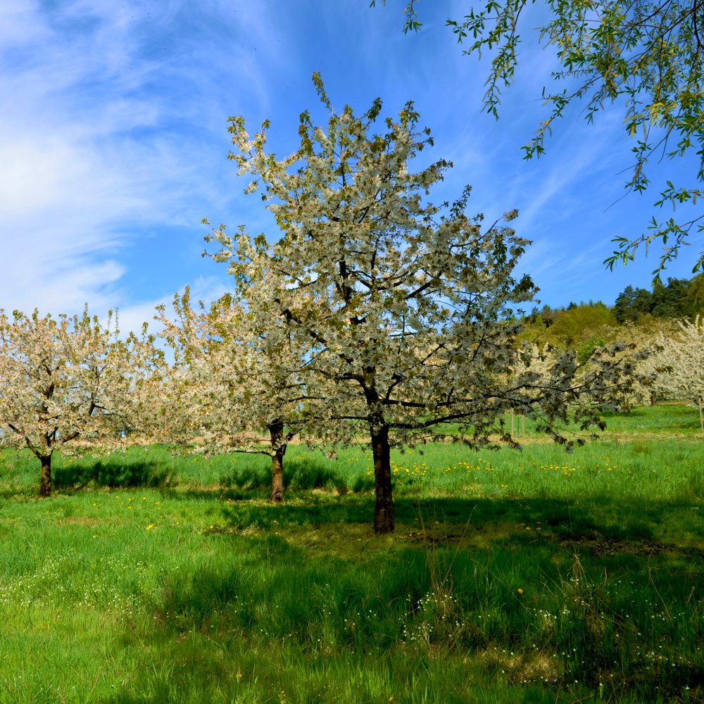 REFUGIUM.BETZENSTEIN | Bio-Urlaub für Allergiker, elektrosmogfreier, gesunder Urlaub Bio-Hotel, Ferienwohnung ohne WLAN im Bio-Passivhaus in Bayern, Natururlaub Deutschland, Öko-Ferienhaus für Allergiker Franken, Bamberg, Bayreuth, Nürnberg