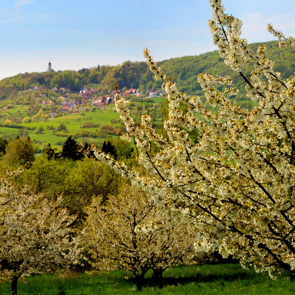 REFUGIUM.BETZENSTEIN | Bio-Urlaub für Allergiker, elektrosmogfreier, gesunder Urlaub Bio-Hotel, Ferienwohnung ohne WLAN im Bio-Passivhaus in Bayern, Natururlaub Deutschland, Öko-Ferienhaus für Allergiker Franken, Bamberg, Bayreuth, Nürnberg