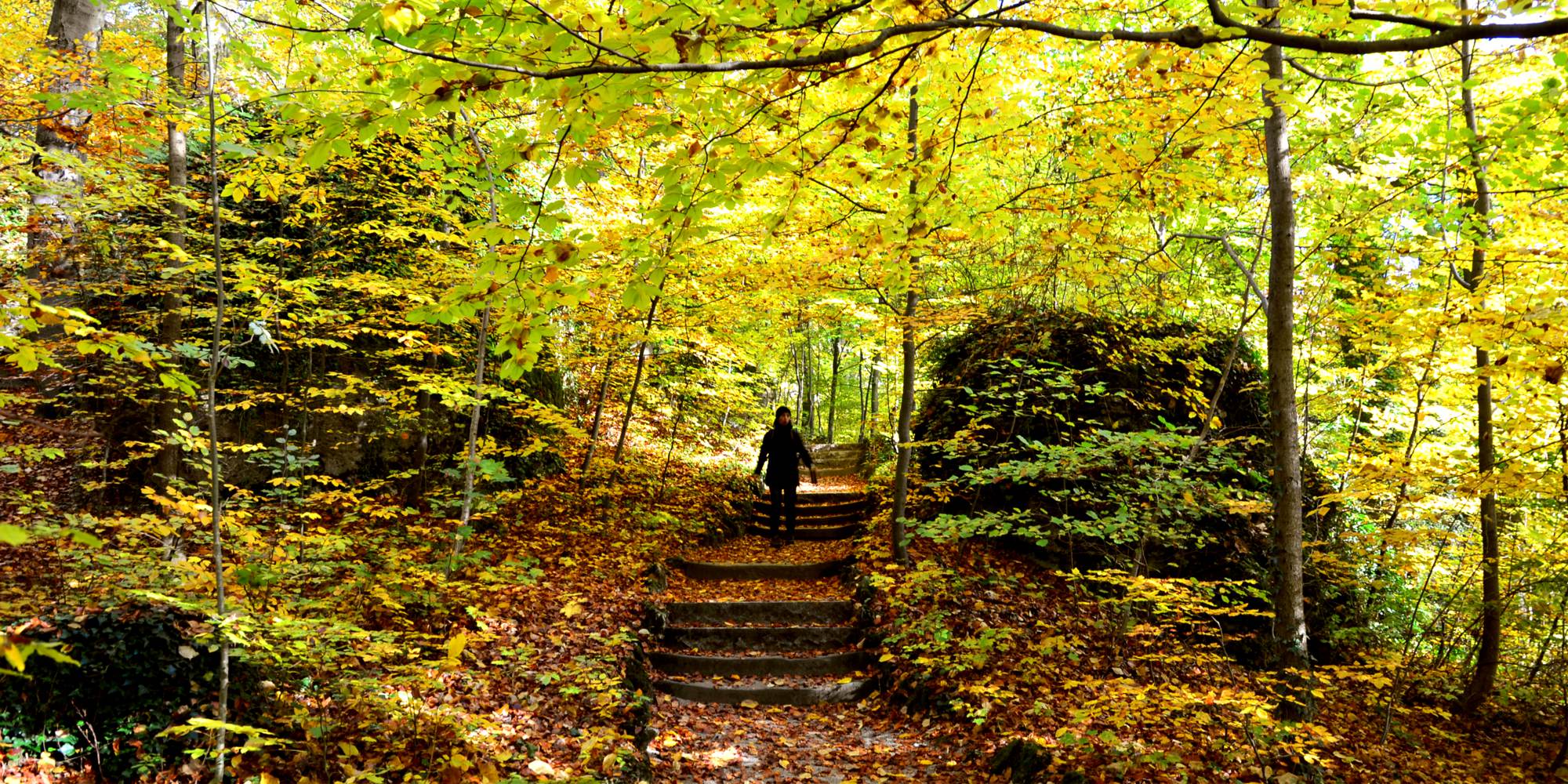 REFUGIUM.BETZENSTEIN | Online Buchen, Bio-Hotel Bayern, Natururhotel Deutschland, Bio-Design-Ferienhaus, Öko-Hotel Bamberg, Bayreuth, Nürnberg, Durchreise Hotel, Ferienwohnung Franken