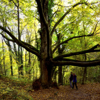 WANDERN . NORDIC WALKING